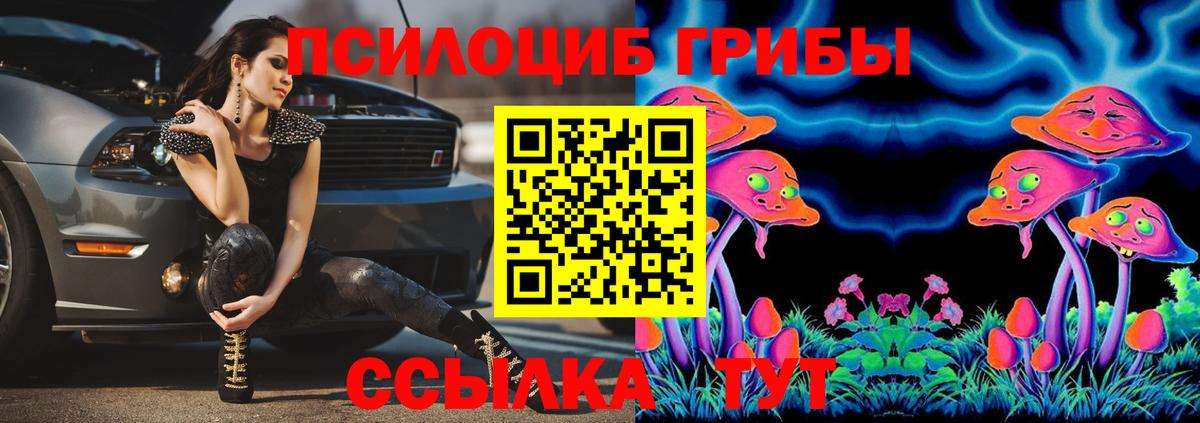 Галлюциногенные грибы Psilocybe  Вход с VPN  Северобайкальск 